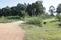 /album/cabanas-rincon-del-diario-punta/img-4757-jpg/