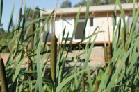 /album/cabanas-rincon-del-diario-punta/img-4765-jpg/